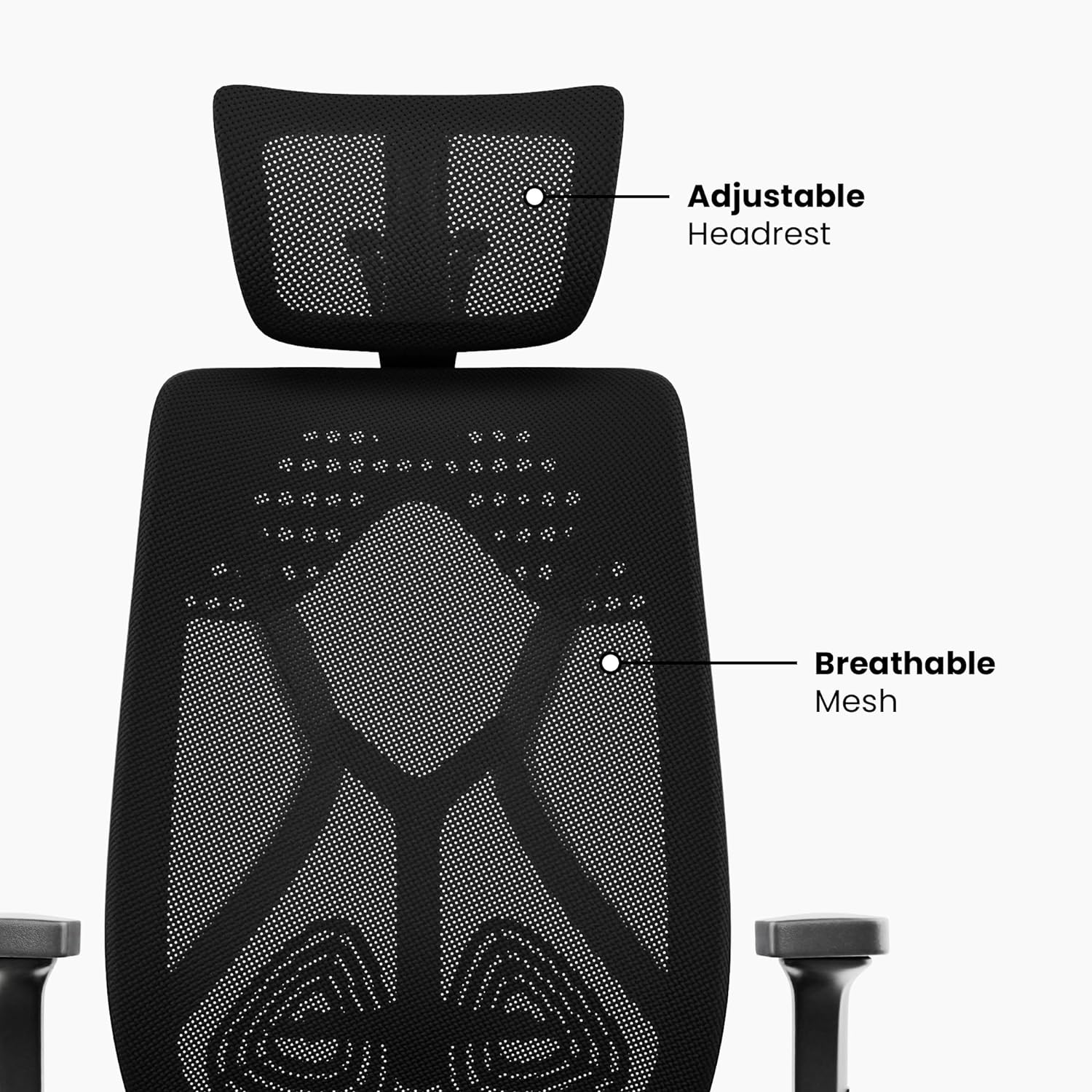 Product image 101